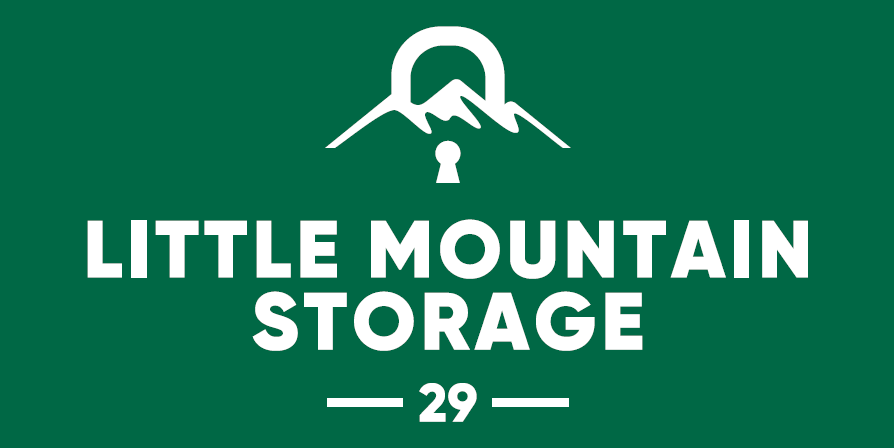 little mountain storage 29